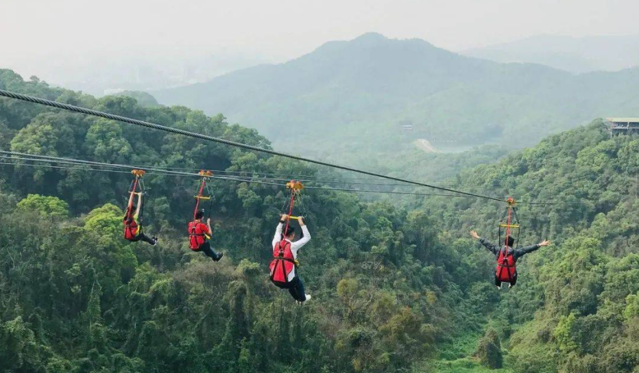 適合森林公園的游樂(lè)項(xiàng)目叢林滑索——簡(jiǎn)單好玩，成本還低